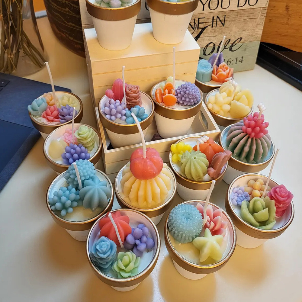 6pcs Succulent Silicone Candle - Candle Making Experience review and price